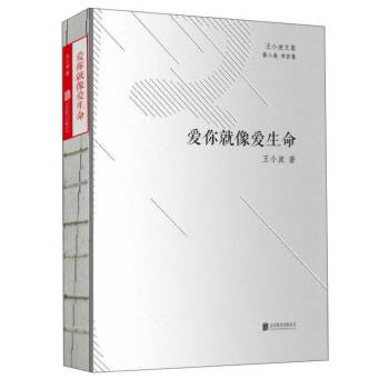 王小波文集 王小波文集