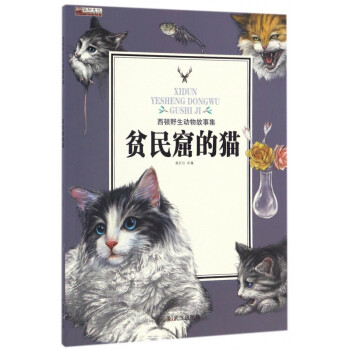 貧民窟的貓 貧民窟的貓