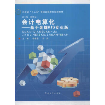 會(huì)計(jì)電算化 會(huì)計(jì)電算化