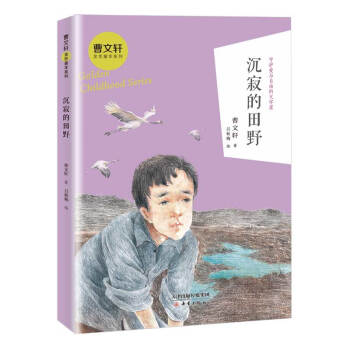 沉寂的田野 沉寂的田野