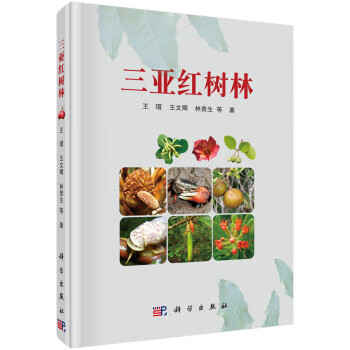 三亞紅樹林 三亞紅樹林