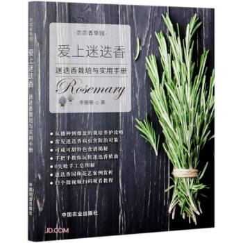 愛上迷迭香 愛上迷迭香