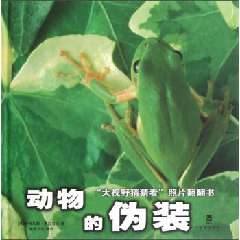 動物的偽裝 動物的偽裝
