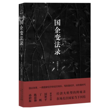 國企變法錄 國企變法錄