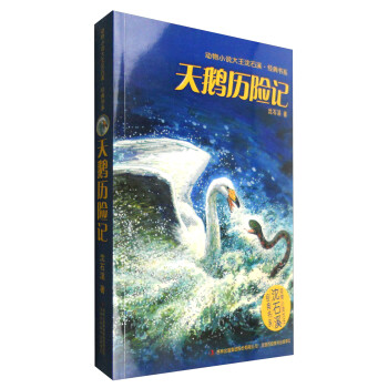 天鵝歷險記 天鵝歷險記
