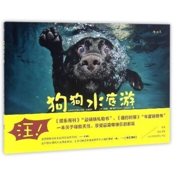 狗狗水底游 狗狗水底游