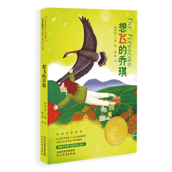 想飛的喬琪 想飛的喬琪
