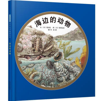 海邊的動物
