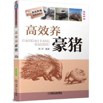 高效養豪豬 高效養豪豬