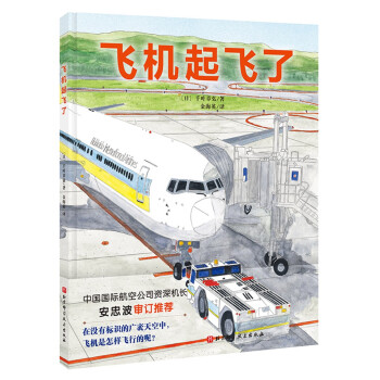 飛機起飛了 飛機起飛了