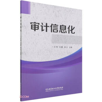 審計信息化 審計信息化