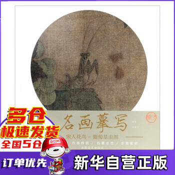 葡萄草蟲圖 葡萄草蟲圖
