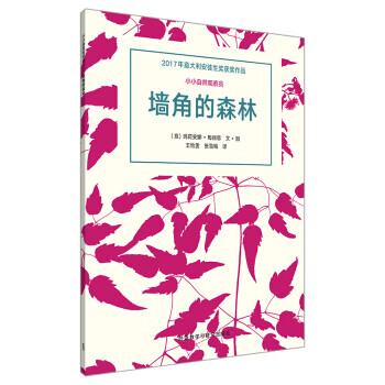 墻角的森林 墻角的森林