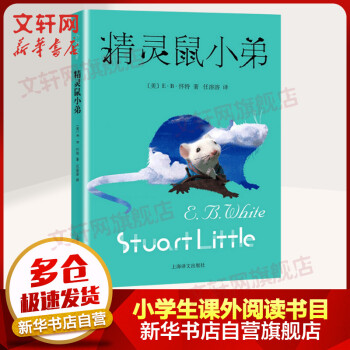 精靈鼠小弟 精靈鼠小弟