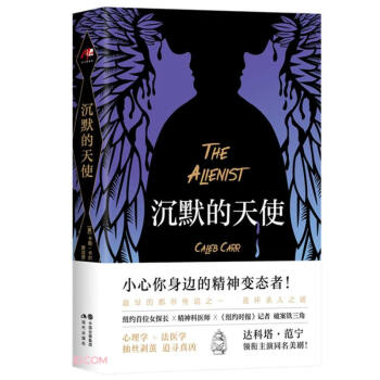 沉默的天使 沉默的天使