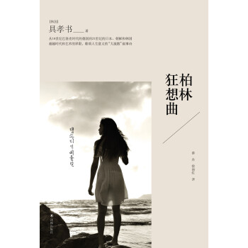 柏林狂想曲 柏林狂想曲