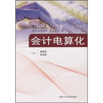會計電算化 會計電算化