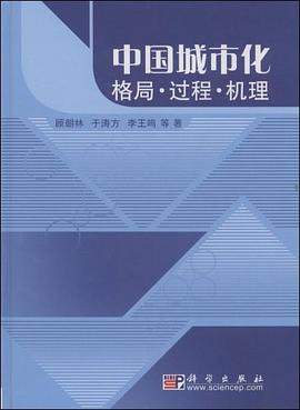 中國城市化 中國城市化