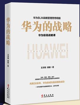華為的戰略 華為的戰略