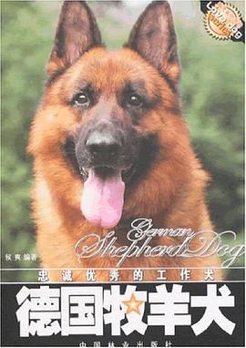 德國牧羊犬 德國牧羊犬