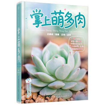 掌上萌多肉 掌上萌多肉