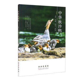 中華秋沙鴨 中華秋沙鴨