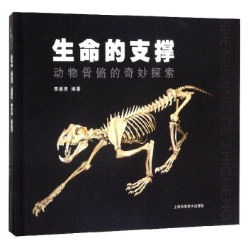 生命的支撐 生命的支撐