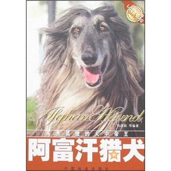 阿富汗獵犬 阿富汗獵犬