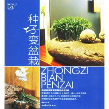 種子變盆栽 種子變盆栽