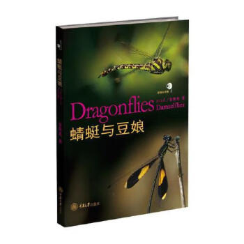 蜻蜓與豆娘 蜻蜓與豆娘