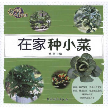 在家種小菜 在家種小菜