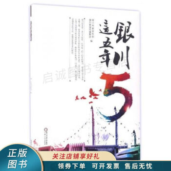 銀川這五年 銀川這五年