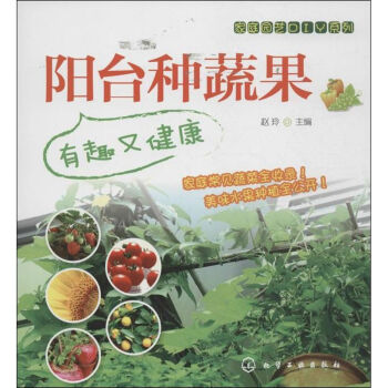 陽臺種蔬果 陽臺種蔬果