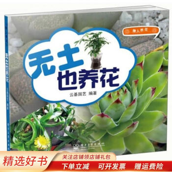 無土也養(yǎng)花 無土也養(yǎng)花