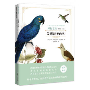 發現美的鳥 發現美的鳥