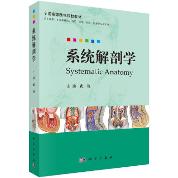 系統解剖學 系統解剖學