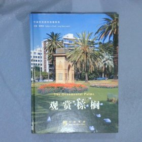 觀賞棕櫚精 觀賞棕櫚精