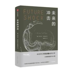 未來的沖擊 未來的沖擊