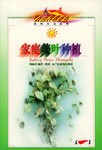 家庭美葉種植 家庭美葉種植