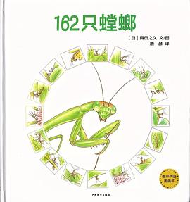162只螳螂 162只螳螂