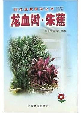 龍血樹.朱蕉 龍血樹.朱蕉