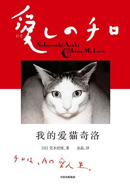 我的愛貓奇洛 我的愛貓奇洛