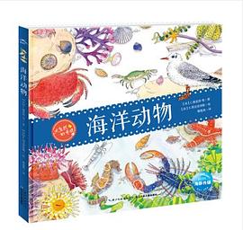 大自然的奇觀 大自然的奇觀