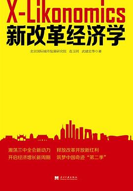 新改革經(jīng)濟(jì)學(xué) 新改革經(jīng)濟(jì)學(xué)