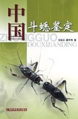 中國斗蟋鑒定 中國斗蟋鑒定