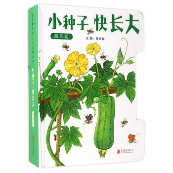 小種子快長大 小種子快長大