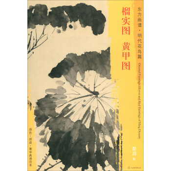 榴實圖黃甲圖 榴實圖黃甲圖