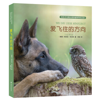 愛飛往的方向 愛飛往的方向