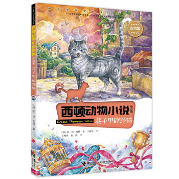 巷子里的野貓 巷子里的野貓