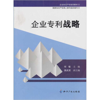 企業(yè)專利戰(zhàn)略 企業(yè)專利戰(zhàn)略